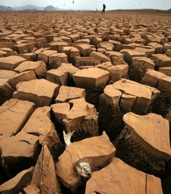 Drought in China (36 pics)
