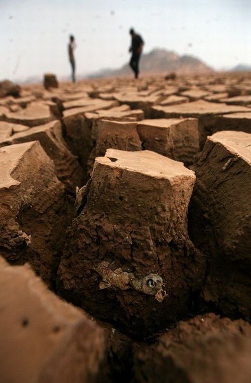 Drought in China (36 pics)