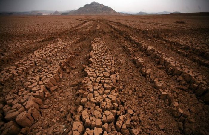 Drought in China (36 pics)