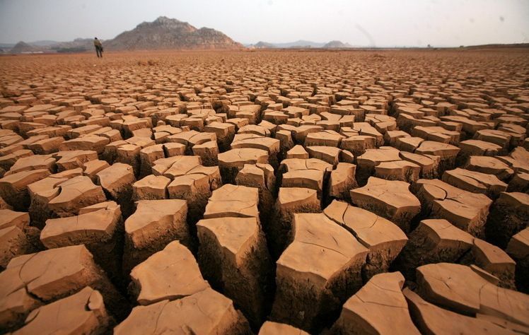 Drought in China (36 pics)