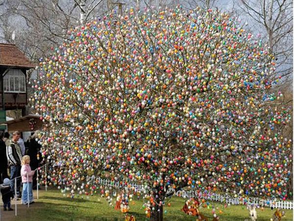 Easter Tree (7 pics)