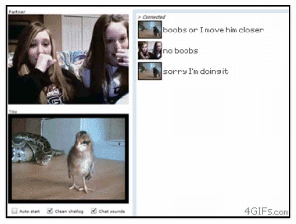 How to Make a Girl Show Her Tits on Chatroulette.com. Part 2 (1 gif)