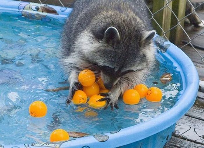 Acid Picdump (165 pics)