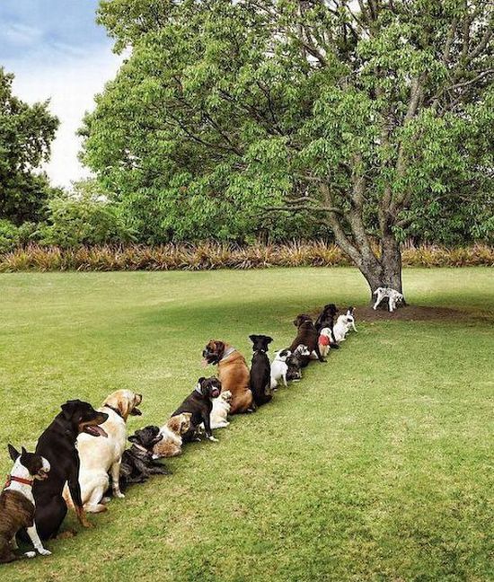 Acid Picdump (165 pics)