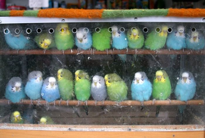 Acid Picdump (165 pics)