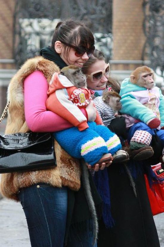 Acid Picdump (165 pics)