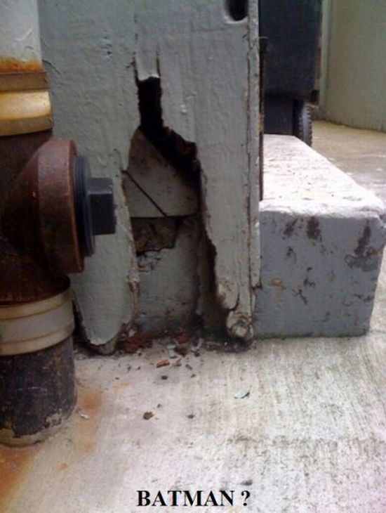 Acid Picdump (165 pics)