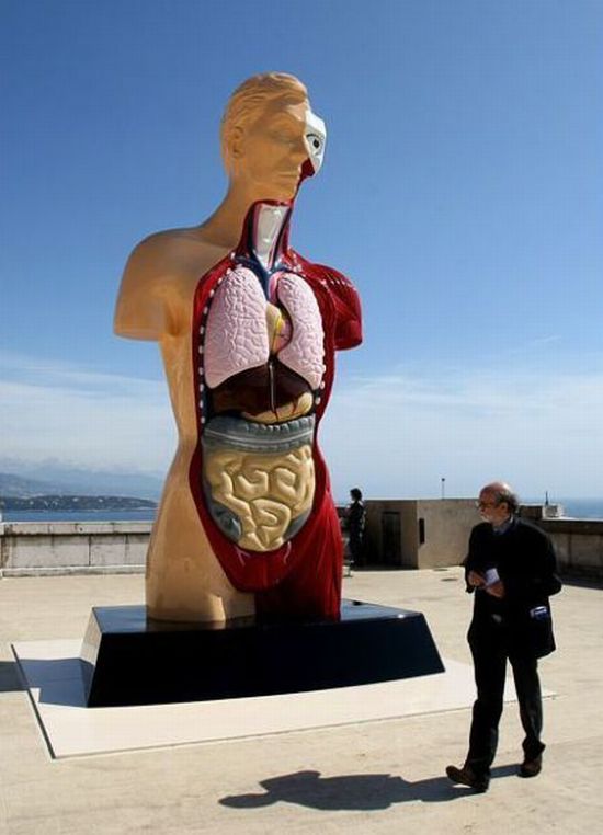 Acid Picdump (165 pics)