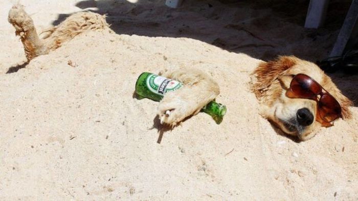 Acid Picdump (165 pics)