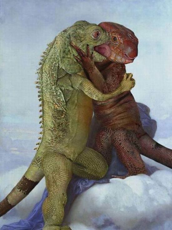 Acid Picdump (165 pics)