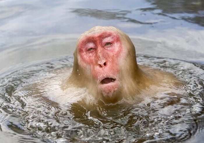 Acid Picdump (165 pics)