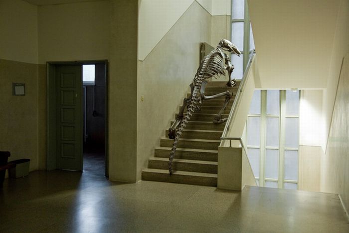 Acid Picdump (165 pics)