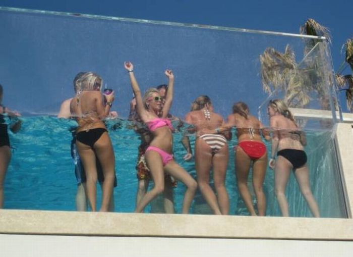 Pool Party (12 pics)