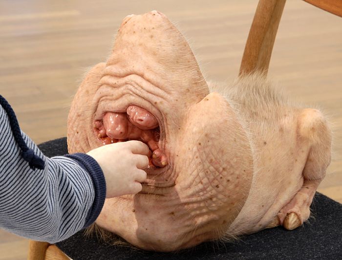 The Most Controversial Art Sculptures by Patricia Piccinini (34 pics)