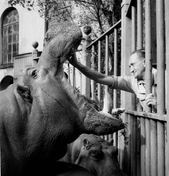 Classic Zoo Pictures (16 pics)