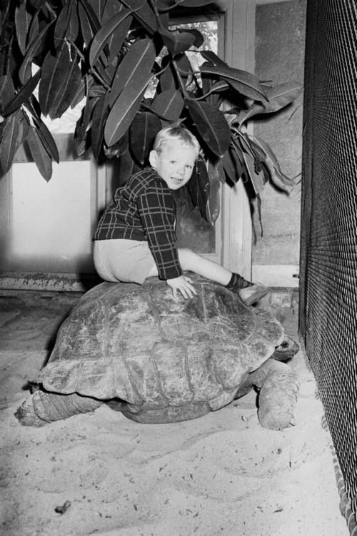 Classic Zoo Pictures (16 pics)