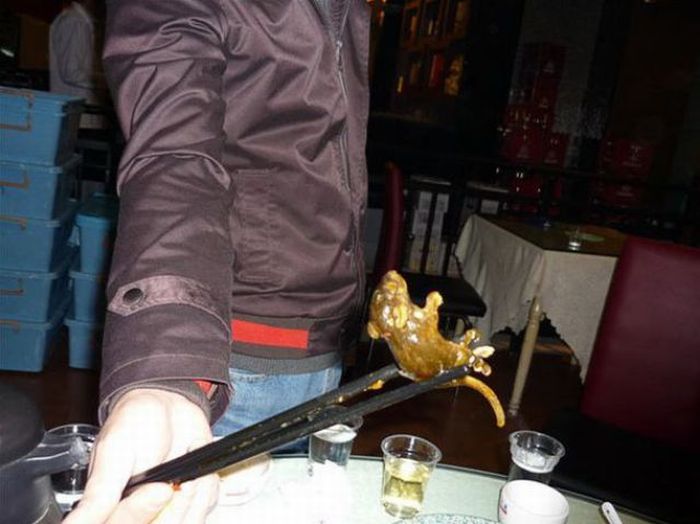 Be Careful When You Order a Soup in China (2 pics)