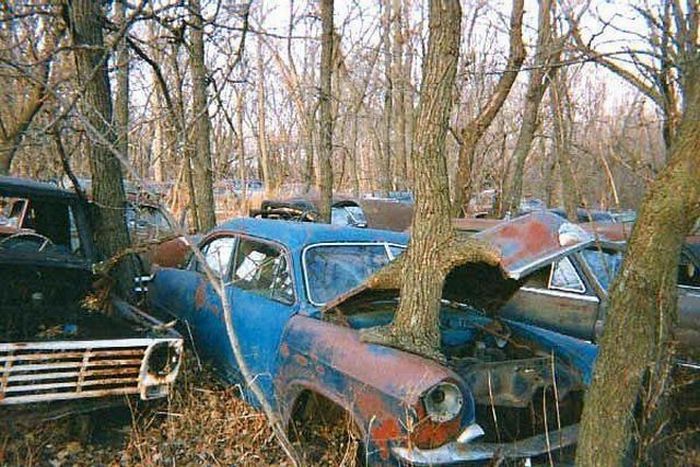 Abandoned Supercars (104 pics)