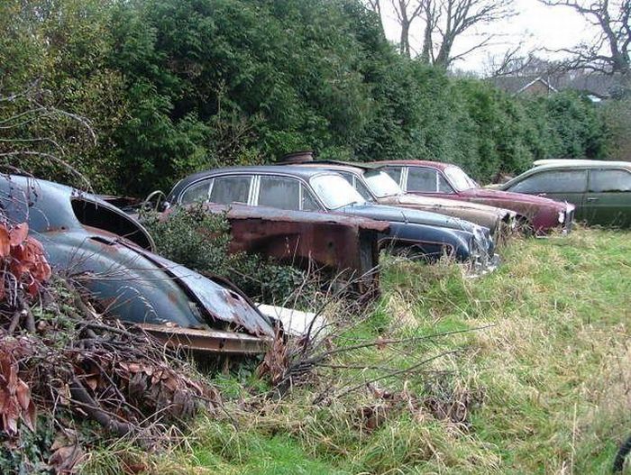 Abandoned Supercars (104 pics)