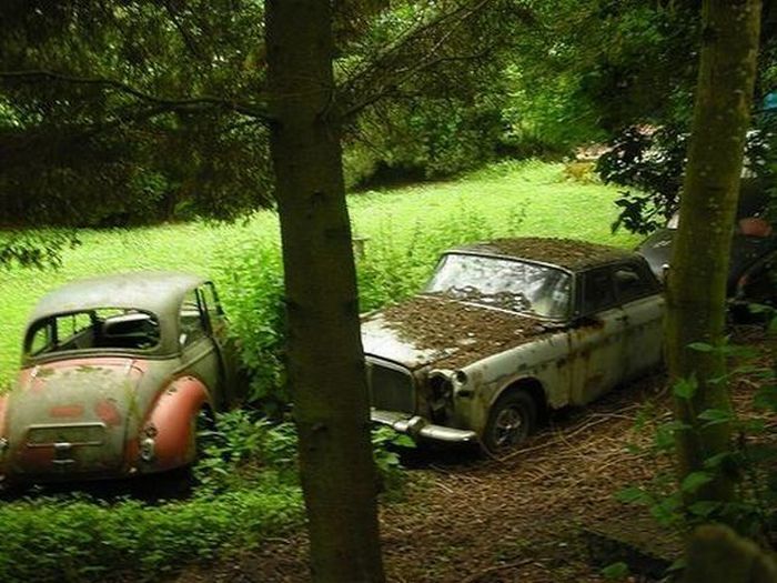 Abandoned Supercars (104 pics)