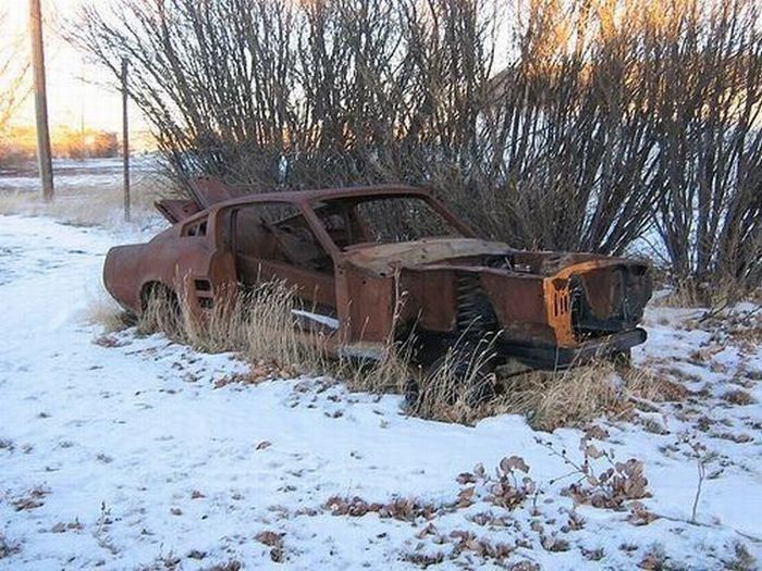 Abandoned Supercars (104 pics)