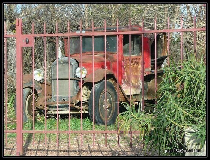 Abandoned Supercars (104 pics)