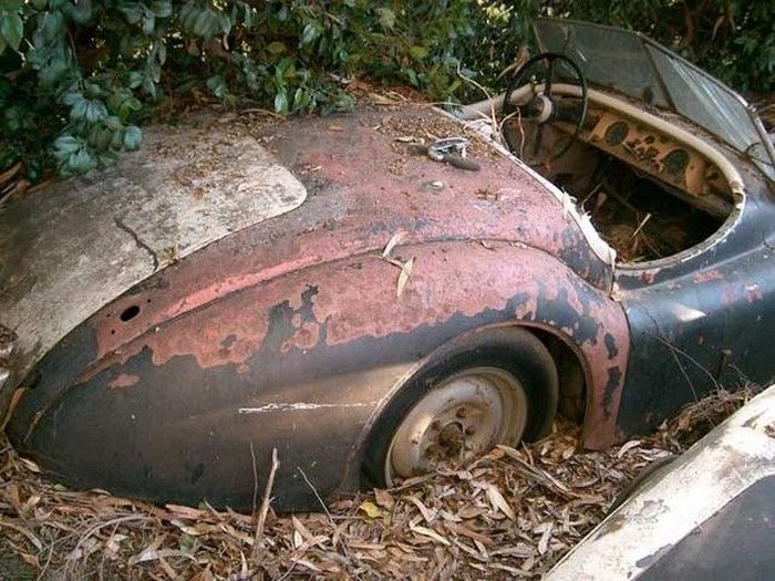 Abandoned Supercars (104 pics)