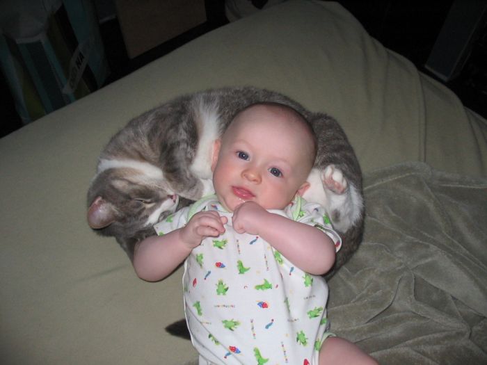 Babies and Kitties (23 pics)