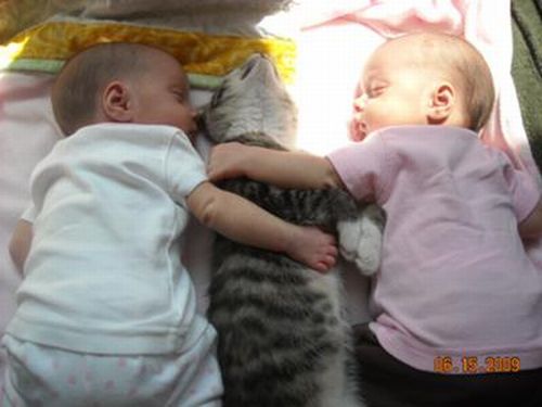 Babies and Kitties (23 pics)