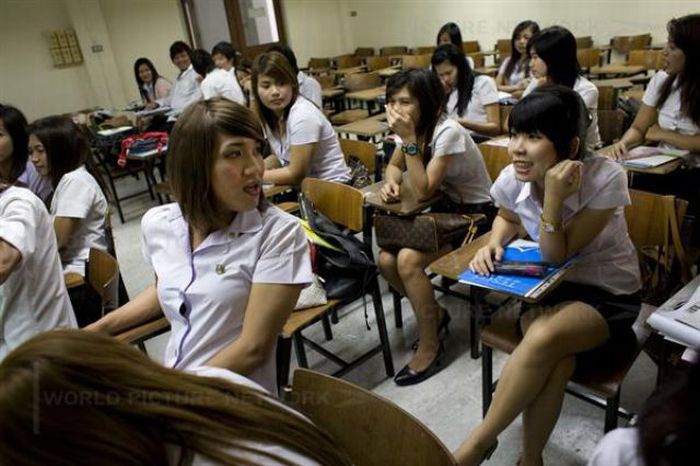 Ladyboy Students in Thailand (18 pics)