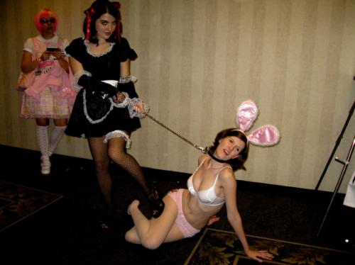 Sexy Easter Bunnies (62 pics)