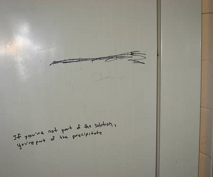 Funny Bathroom Writings (14 pics)