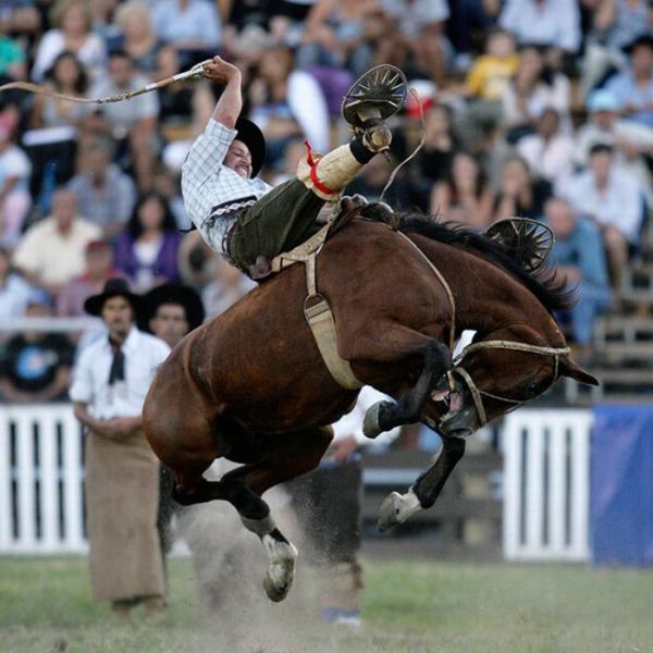 Gaucho Rodeo Riders (16 pics)