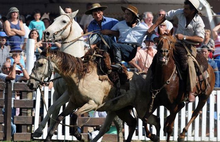Gaucho Rodeo Riders (16 pics)
