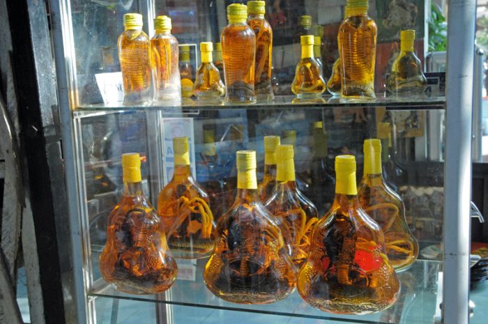 Vietnam Liquor (24 pics)