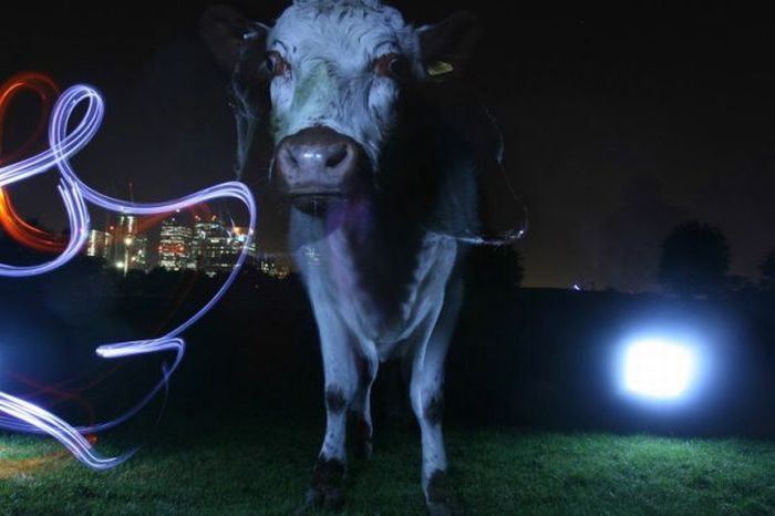 Drawings by Light (51 pics)