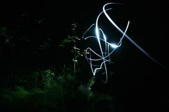 Drawings by Light (51 pics)
