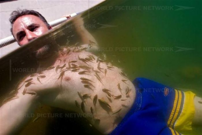 Fish Spa (12 pics)