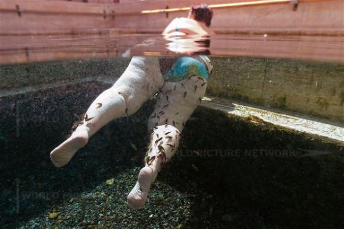 Fish Spa (12 pics)