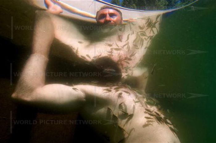Fish Spa (12 pics)