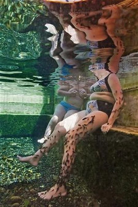 Fish Spa (12 pics)