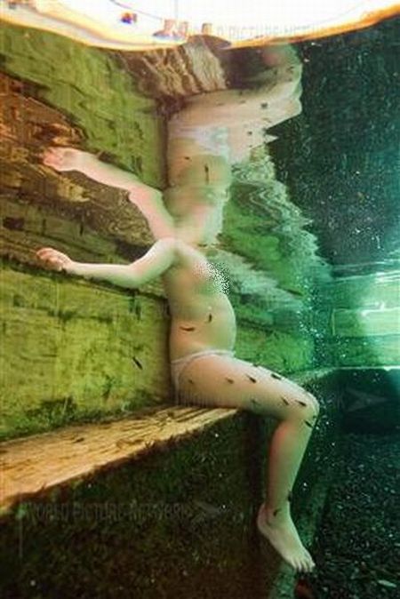 Fish Spa (12 pics)