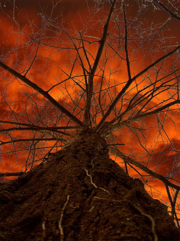 Beautiful Photographs by Giampaolo Macorig (23 pics)