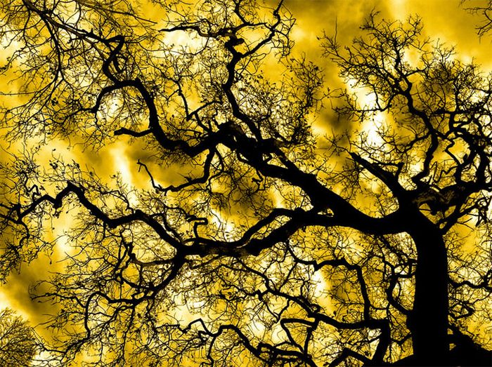 Beautiful Photographs by Giampaolo Macorig (23 pics)