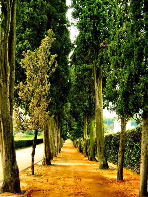 Beautiful Photographs by Giampaolo Macorig (23 pics)