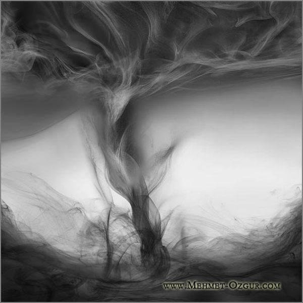 Beautiful Smoke Works by Mehmet Ozgur (46 pics)