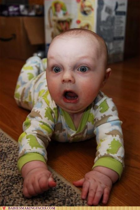 Funny Babies Faces (80 pics)