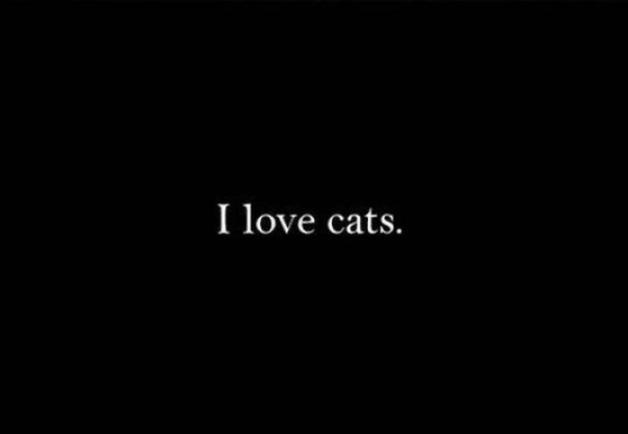 I Love Cats (10 pics)