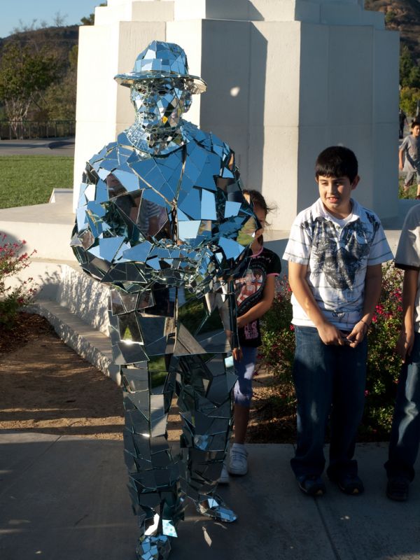 Mirror Man (15 pics)