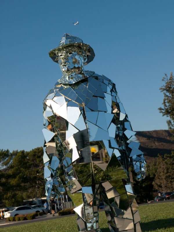 Mirror Man (15 pics)